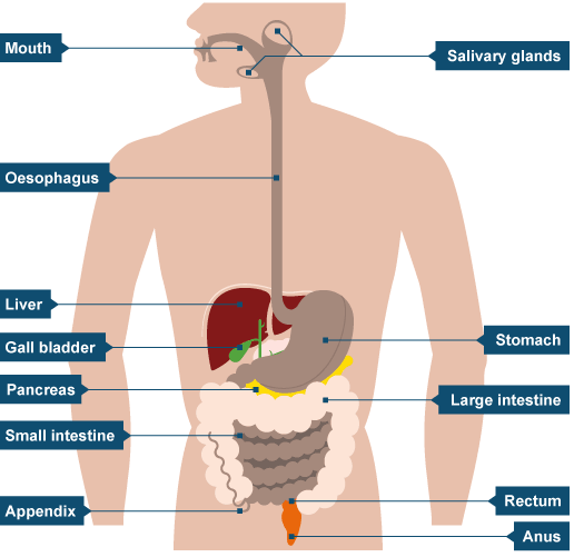 781a8ea06f77cb516f21bc32b5596d51580259e1